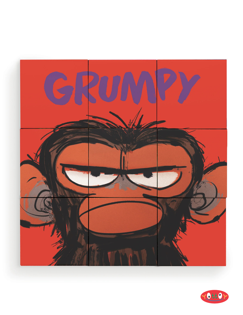 Grumpy Monkey Puzzle Blocks - 6 Puzzles in 1