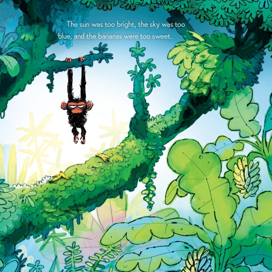 "Grumpy Monkey" Hardcover Book