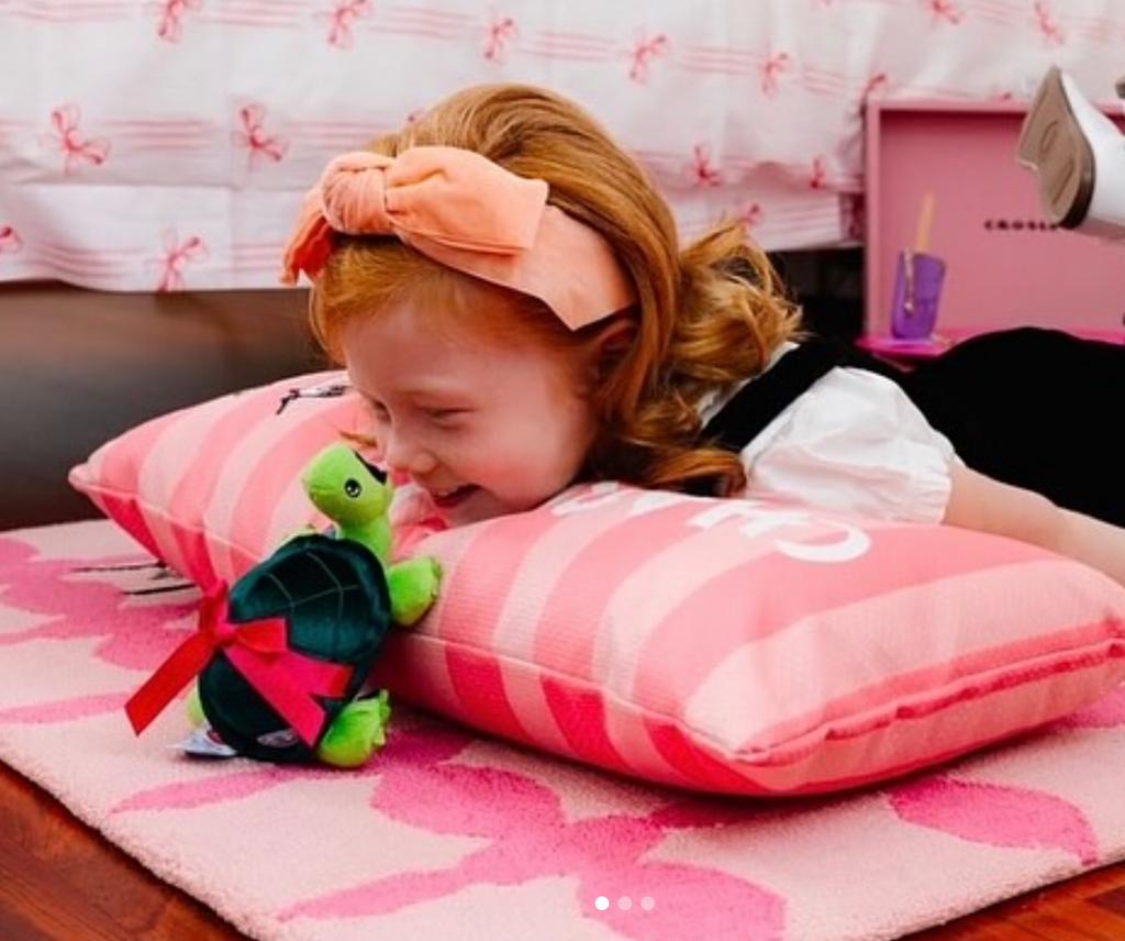 Skipperdee Turtle Soft Toy