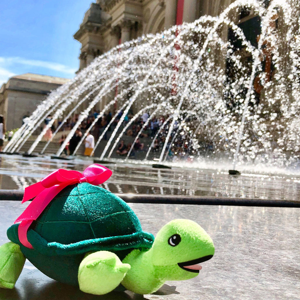 Skipperdee Turtle Soft Toy