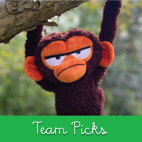 Team Picks
