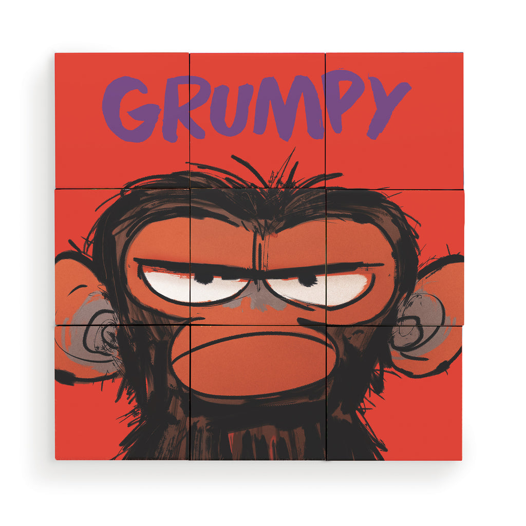 Grumpy Monkey Puzzle Blocks - 6 Puzzles in 1