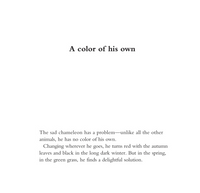 "A COLOR OF HIS OWN" HARDCOVER BOOK