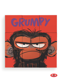 GRUMPY MONKEY PUZZLE BLOCKS - 6 PUZZLES IN 1