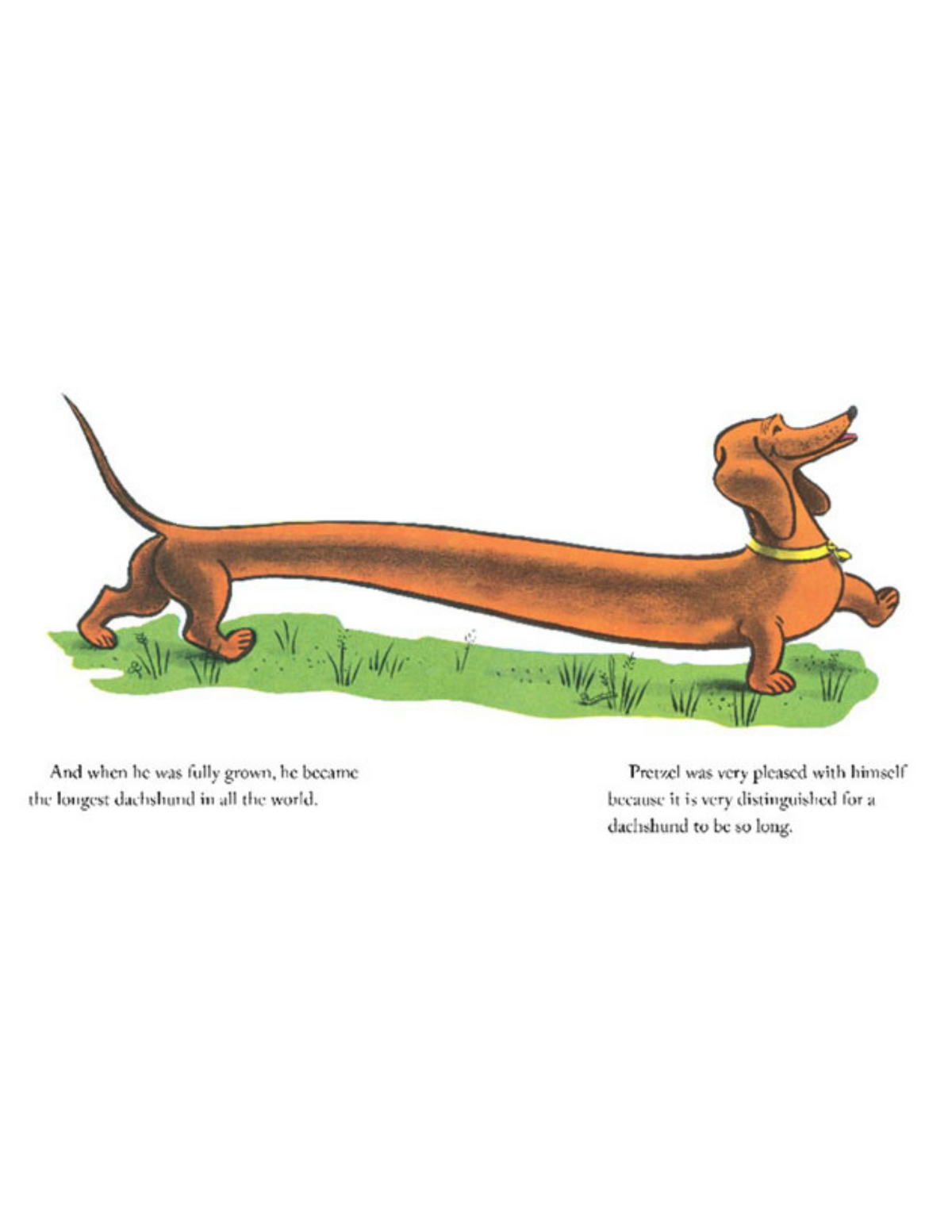 "PRETZEL" NEW EDITION HARDCOVER BOOK