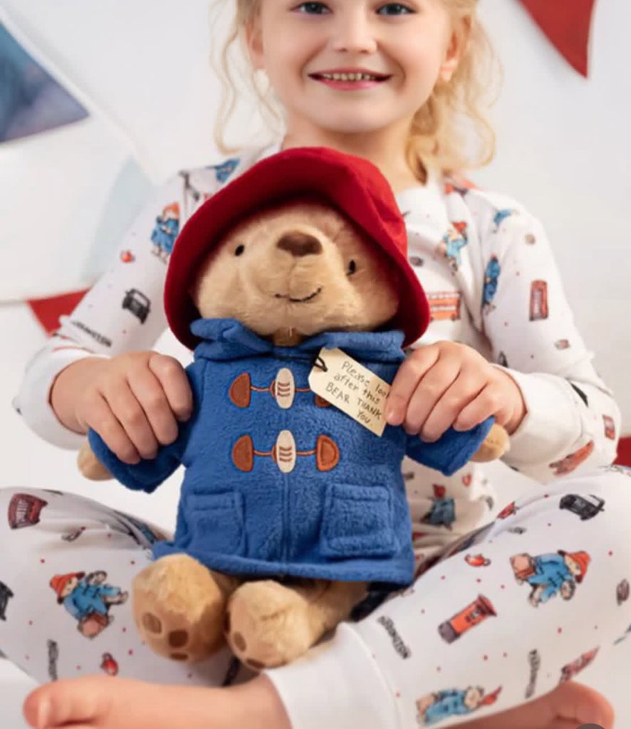 Classic Seated Paddington 8.5" Soft Toy