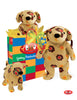 Magalina Dog Collection