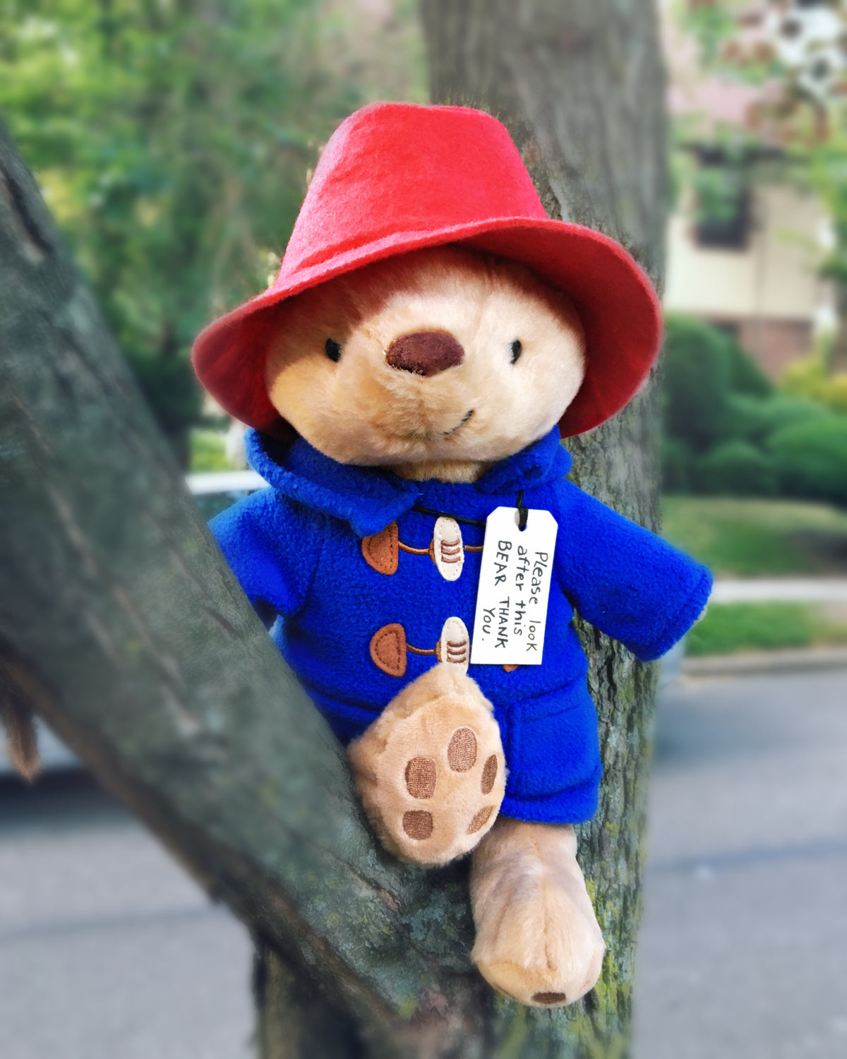 CLASSIC SEATED PADDINGTON BEAR 8.5" SOFT PLUSH TOY