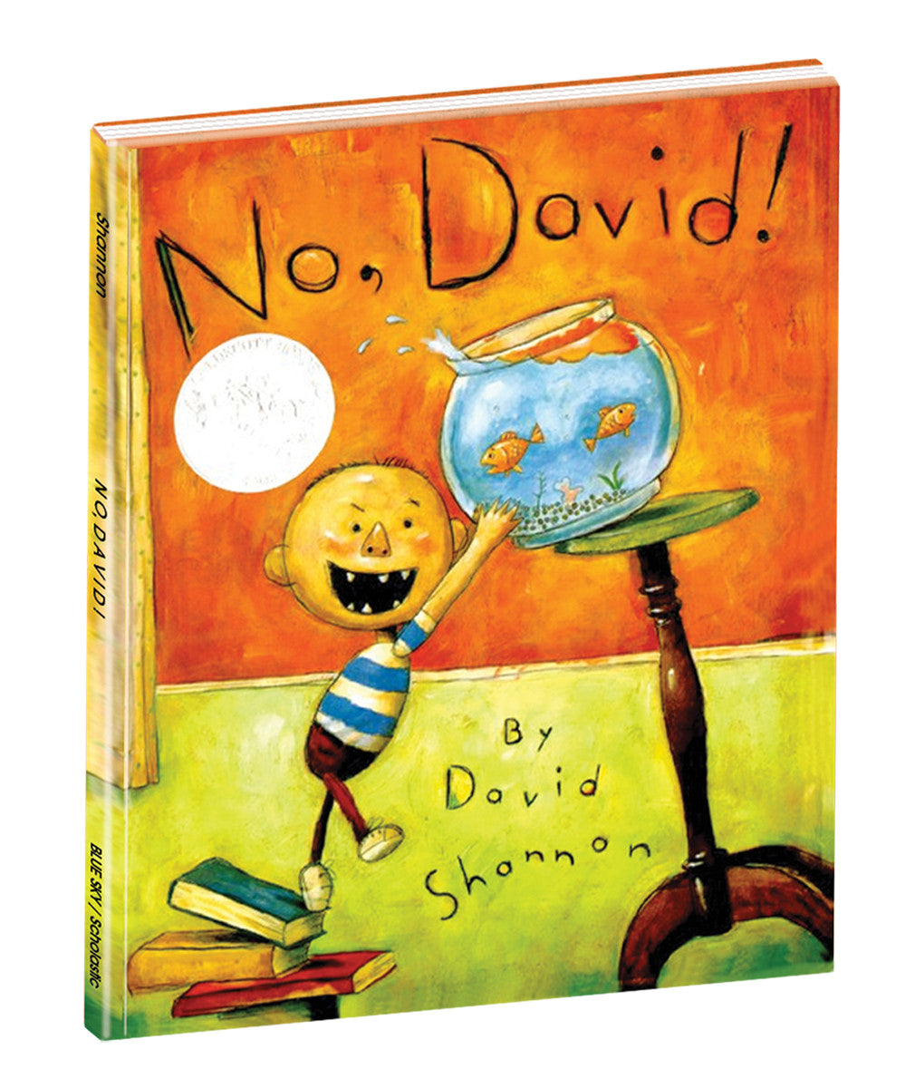 "NO, DAVID!" HARDCOVER BOOK
